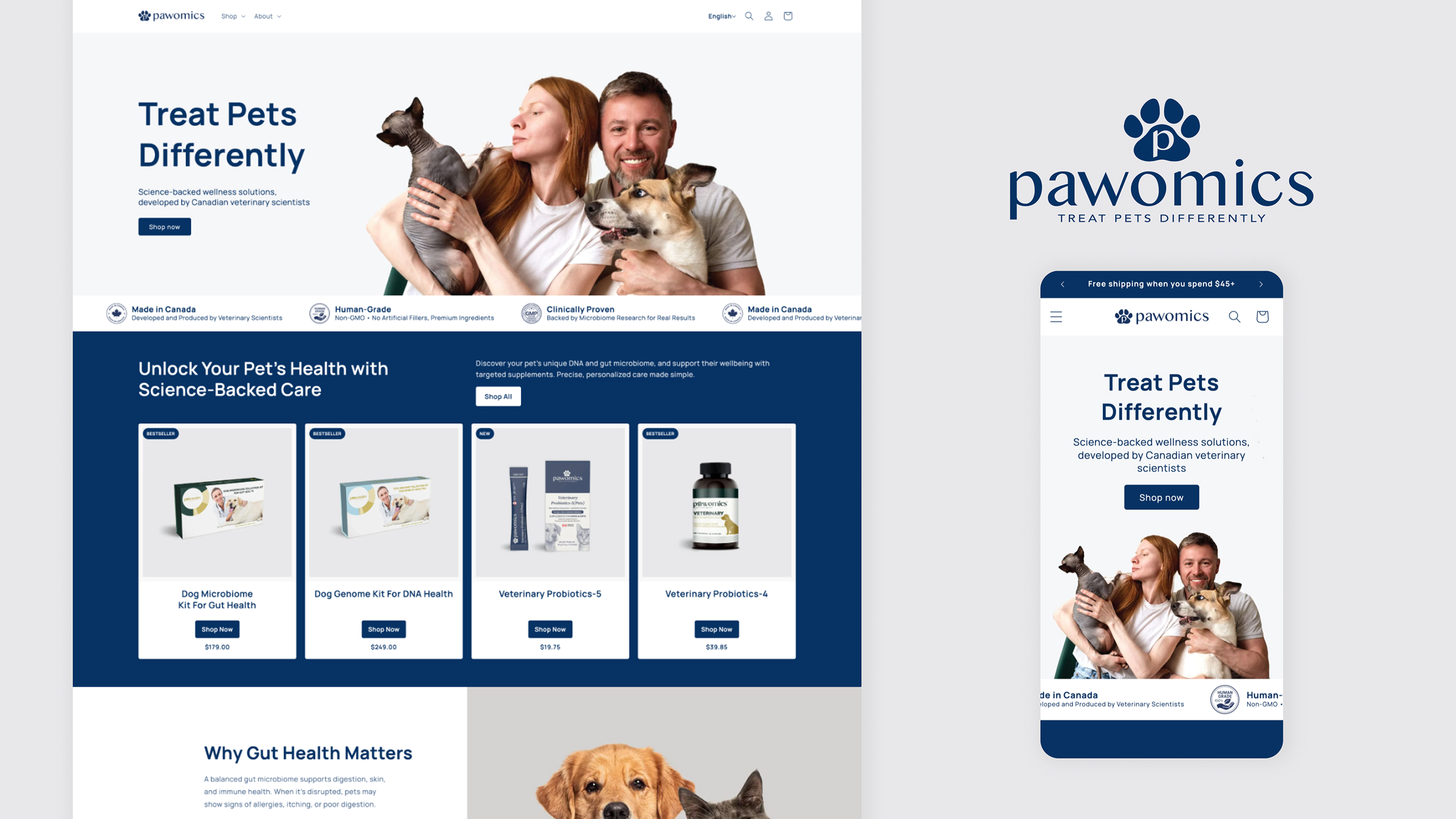 This is the main visual representing the project.